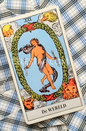 1-Card Tarot Reading